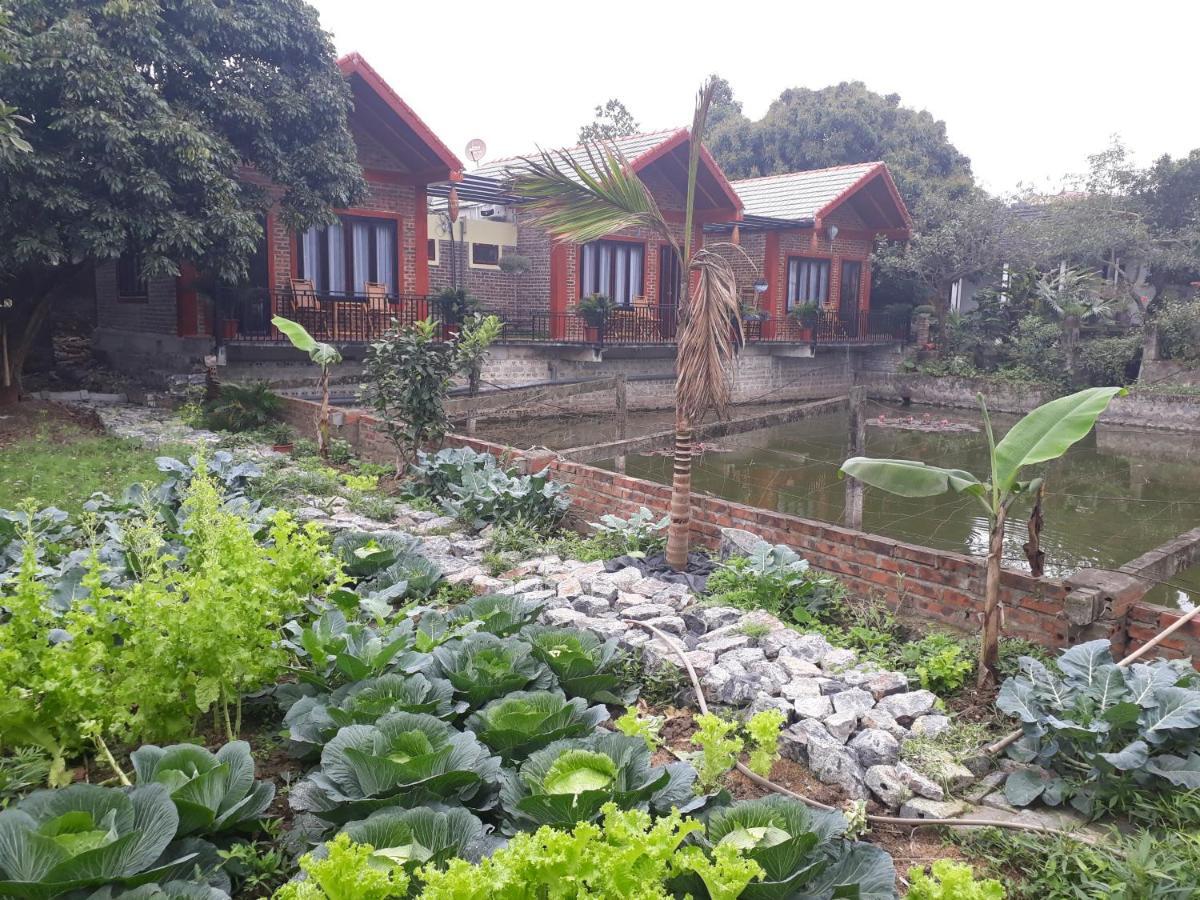 Chez Hiep Tam Coc Homestay Ninh Binh Eksteriør bilde